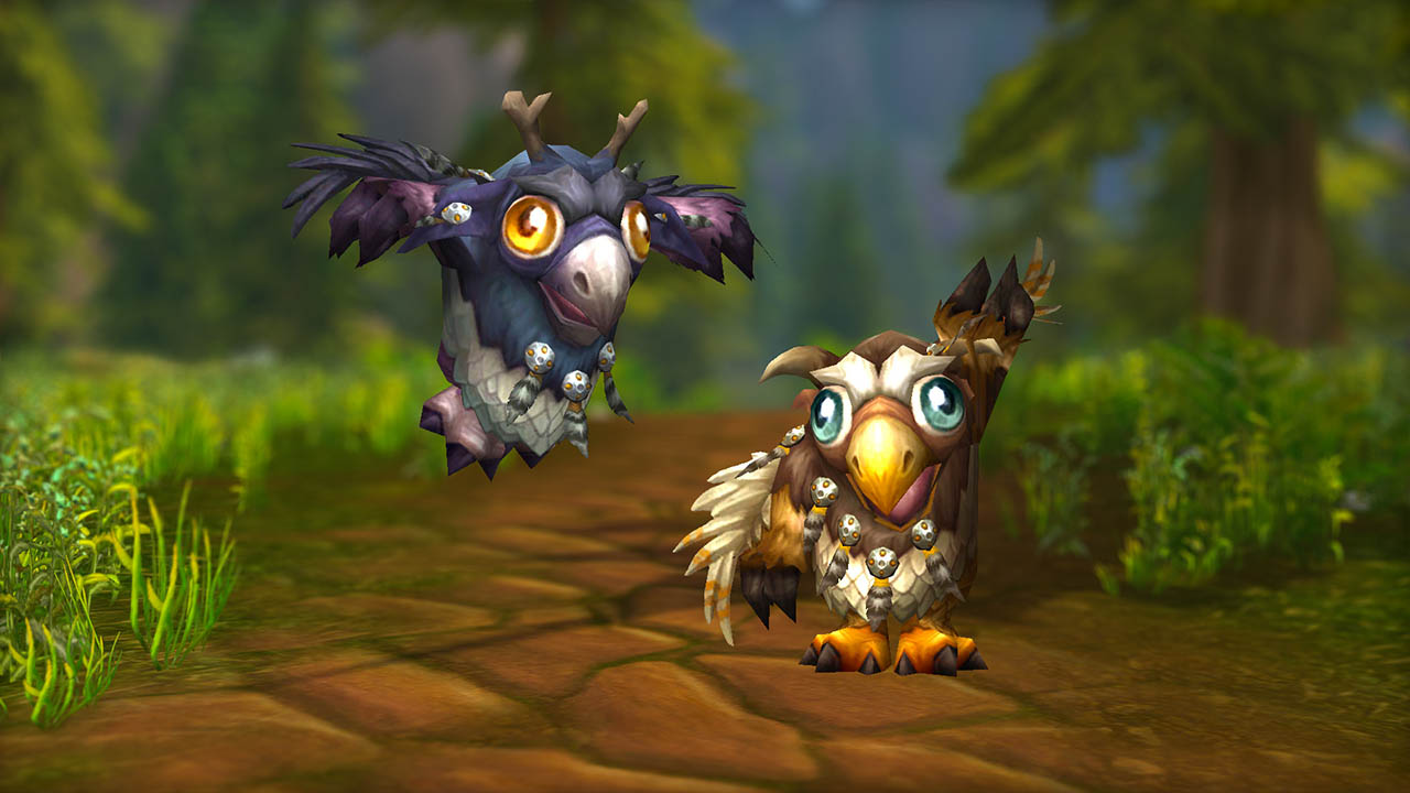 Moonkin Hatchling - Charity Pet